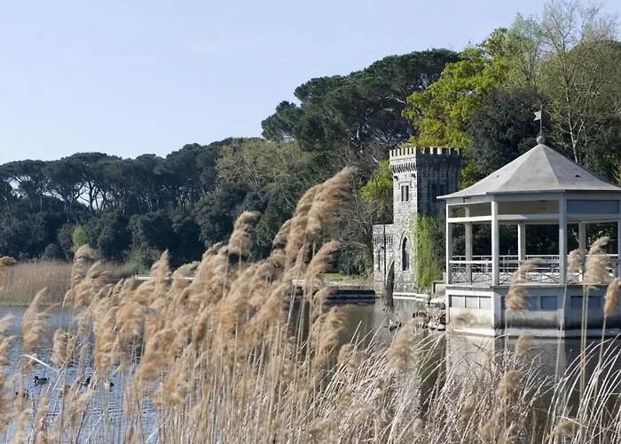 Liu B&B